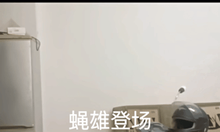 45350ff6e840974725a974b383ff32cc544024ab.gif